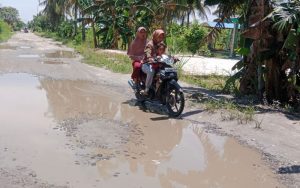 Jalan Antar Kabupaten Rusak Parah, Warga Serdang Bedagai Desak Gubernur Sumut Segera Lakukan Ini