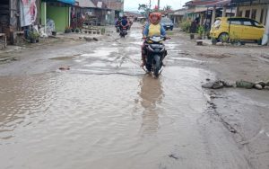 Jalan Penghubung Antar Kabupaten Rusak Parah, Warga Serdang Bedagai Minta Perhatian Jokowi