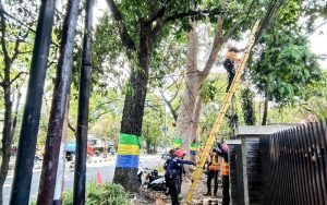 Tak Hanya Kabel Udara, Tiang Listrik di Kota Bandung akan Ditertibkan