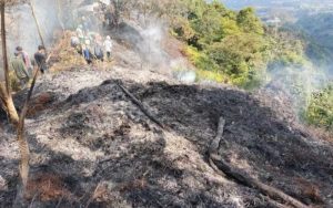 Kebakaran Hutan di Gunung Salak Sukabumi Berhasil Dipadamkan