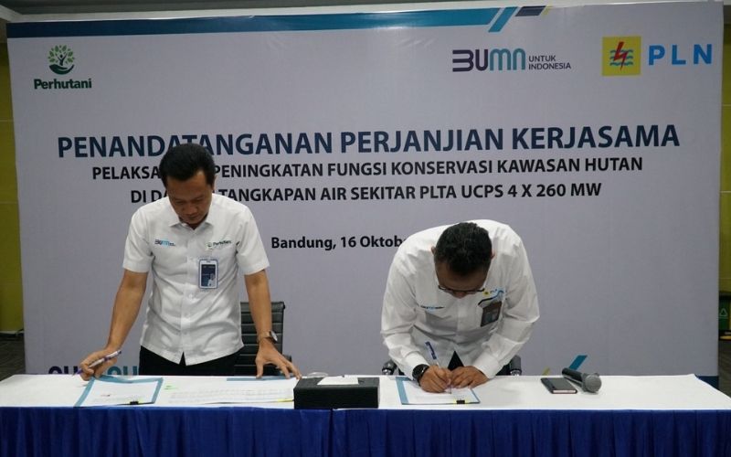 Konservasi Hutan
