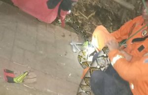 Fakta di Balik Teror Ular di Pemukiman Warga Kota Cimahi