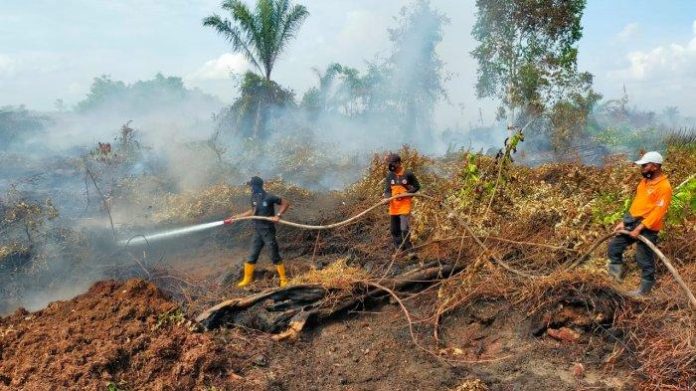 Petugas berupaya memadamkan kebakaran di sebuah lahan