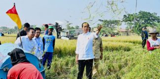 Presiden Jokowi mengikuti panen raya di Kecamatan Ciasem, Kabupaten Subang (1)