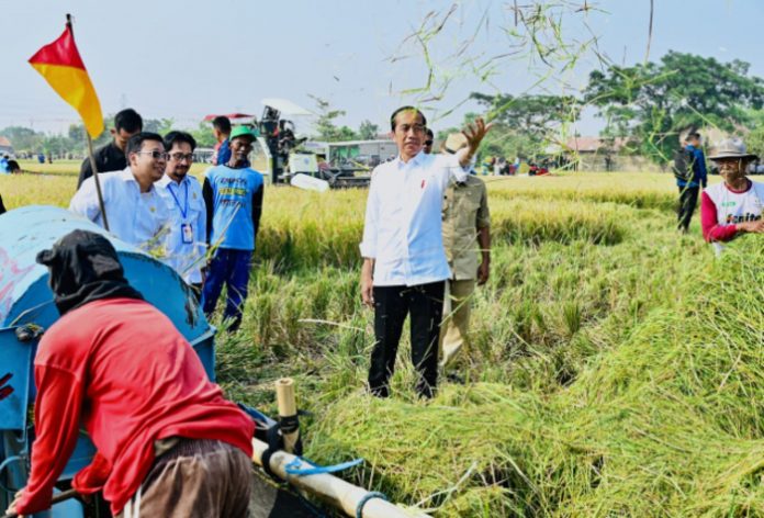 Presiden Jokowi mengikuti panen raya di Kecamatan Ciasem, Kabupaten Subang (1)