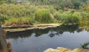 Inilah Penyebab Air Sungai Cibeet di Karawang Menghitam dan Bau Tak Sedap