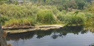 Sungai Cibeet Karawang (1)