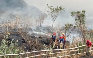 Duh! Kebakaran TPS Cikolotok Purwakarta Masih Terjadi