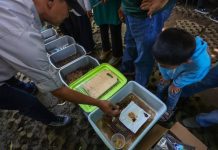 Hanggar Maggot di Kota Bandung
