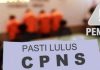 Ilustrasi penipuan CPNS dan PPPK (1)