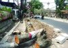 Ratusan pohon di jalur protokol Cianjur terpaksa ditegang