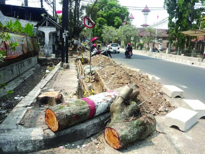 Ratusan pohon di jalur protokol Cianjur terpaksa ditegang