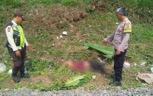 Ini Kronologi Seorang Lansia di Purwakarta Tewas Tersambar Kereta Api