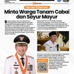 Herman Suherman Minta Warga Tanam Cabai dan Sayur Mayur