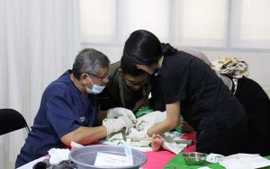 Hari Disabilitas Internasional 2023, Kemensos Gelar Khitanan Massal dan Donor Darah Gratis