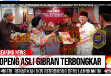 Foto yang diduga hasil editan memperlihatkan pertemuan Megawati dengan Presiden Jokowi (1)