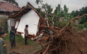 Diterjang Angin Kencang, Pohon Tumbang Timpa Rumah di Purwakarta