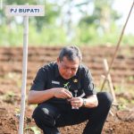 Pj Bupati Purwakarta, Benni Irwan saat kick off Gerakan Masyarakat Tanam Cabai di Desa Gubungkarung, Kecamatan Maniis, Kabupaten Purwakarta (Foto: Istimewa)