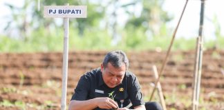 Pj Bupati Purwakarta, Benni Irwan saat kick off Gerakan Masyarakat Tanam Cabai di Desa Gubungkarung, Kecamatan Maniis, Kabupaten Purwakarta (Foto: Istimewa)