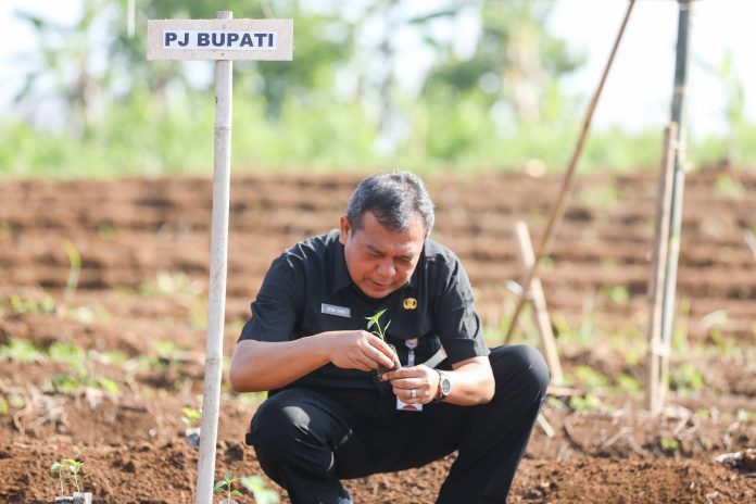 Pj Bupati Purwakarta, Benni Irwan saat kick off Gerakan Masyarakat Tanam Cabai di Desa Gubungkarung, Kecamatan Maniis, Kabupaten Purwakarta (Foto: Istimewa)