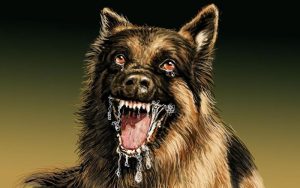 Ngeri! Anjing Liar Mangsa Hewan Ternak Warga di Tasikmalaya, Mang Jauhari Sampai Terpelongo