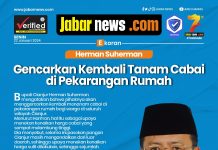 Herman Suherman Gencarkan Kembali Tanam Cabai di Pekarangan Rumah