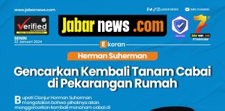 Herman Suherman Gencarkan Kembali Tanam Cabai di Pekarangan Rumah