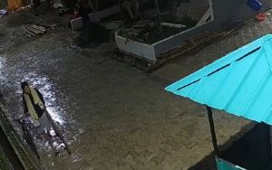 Aksi Maling Terekam CCTV di Purwakarta, Waspadai Modusnya!