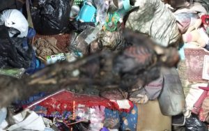 Seorang Lansia di Purwakarta Ditemukan Tewas dalam Rumahnya, Tinggal Tulang Belulang