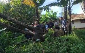 Angin Kencang Tumbangkan Pohon di Purwakarta, Satu Rumah Warga di Desa Bojong Barat Rusak