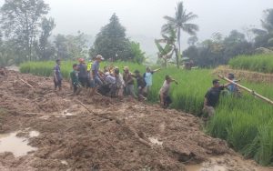 Seorang Petani Tewas Tertimbun Longsor saat Bekerja di Sawah Desa Pondokbungur Purwakarta