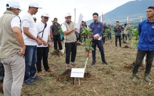 Pegawai PLN UIP JBT Terjun Jadi Volunteer Tanam Pohon di Cianjur, Ini Tujuannya
