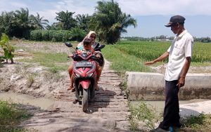 Demi Menuntut Ilmu, Siswa di Pematang Guntung Serdang Bedagai Nekat Lintasi Jembatan Rusak