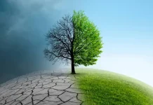 Ilustrasi bagaimana Green Jobs bisa menangkal krisis iklim (Foto: freepik.com)