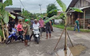Bosen Janji Manis Bupati Ciamis, Warga Desa Cibadak Tanam Pisang di Tengah Jalan