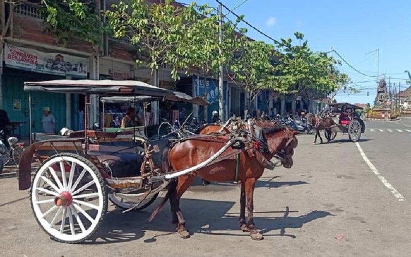 Tak Bisa Beroperasi Selama Mudik Lebaran, Kusir Delman di Garut akan dapat Uang Kompensasi