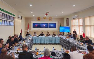 Ini Sinergi Pemerintah dan PLN dalam Pembangunan Infrastruktur Energi