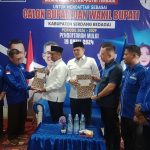 Pilkada Serdang Bedagai