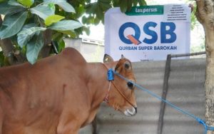 Bantu Pengentasan Stunting, Laz Persis Gulirkan Qurban Super Barokah 2024