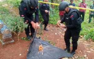Warga di Majalengka Temukan Granat saat Sedang Gali Kubur