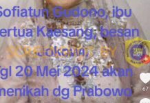 Ilustrasi berita haoks tentang Prabowo Subianto
