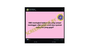 Kasus DBD di Indonesia Disebut Meningkat karena Efek Vaksin Covid-19, Ini Faktanya