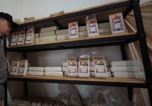 Sein Farm di Ujung Berung Jadi Pusat Pengembangan Sorgum Indonesia