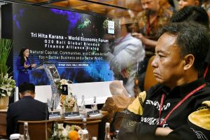 Atasi Perubahan Iklim, Herman Suryatman: Pembiayaan Campuran Kuncinya
