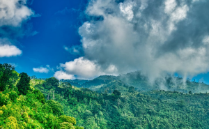 Potensi Guncangan Gempa Sesar Lembang Capai 8 MMI