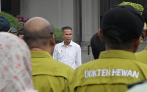 Pastikan Sesuai Syariat Islam, Bey Machmudin Kerahkan Tim Pemeriksa Kesehatan Hewan Kurban