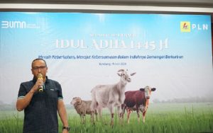 Hari Raya Idul Adha 1445 H, PLN UIP JBT Sumbangkan 52 Hewan Kurban