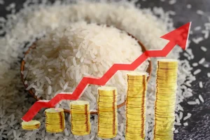Sah, Harga Beras Resmi Naik Termasuk di Purwakarta Jawa Barat