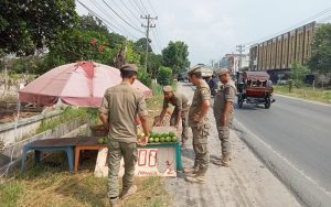 Dianggap Ganggu Jalan, Satpol PP Serdang Bedagai Tertibkan Pedagang Buah di Depan TPU Sei Rampah