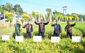 Jabar Jadi Tuan Rumah Gebyar Perbenihan Tanaman Pangan, Bey Machmudin Sampaikan Hal Ini